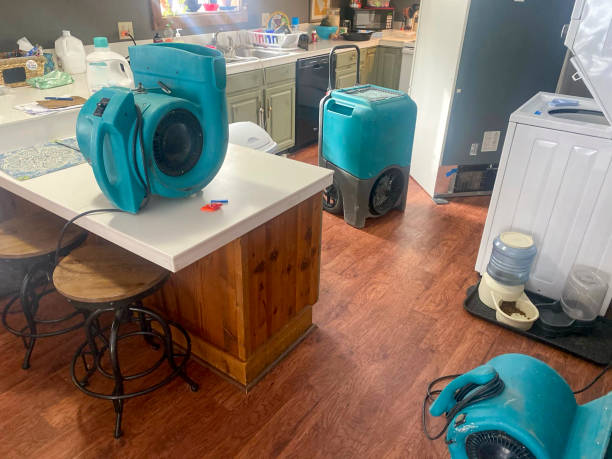 Best Water damage restoration mold remediation  in Pleasant Hills, PA