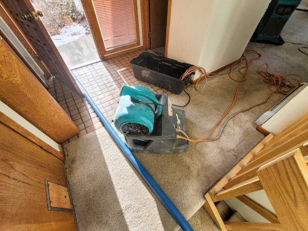 Best Emergency water damage restoration  in Pleasant Hills, PA