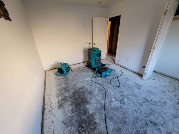 Best 24/7 water damage repair  in Pleasant Hills, PA