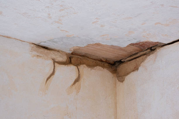  Pleasant Hills, PA Water damage restoration Pros
