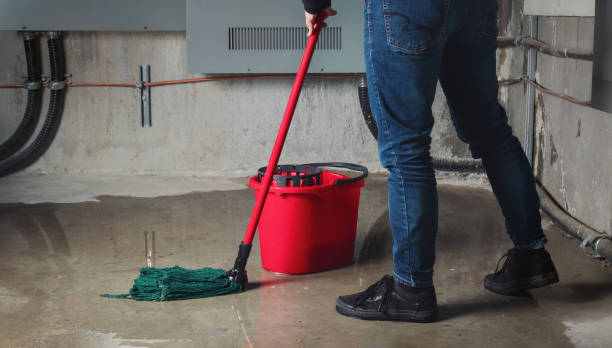 Best Mold removal after water damage  in Pleasant Hills, PA