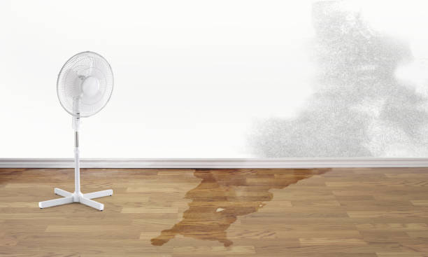 Best Local water damage restoration  in Pleasant Hills, PA