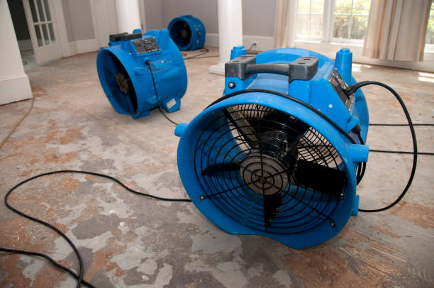Best Flood restoration services  in Pleasant Hills, PA