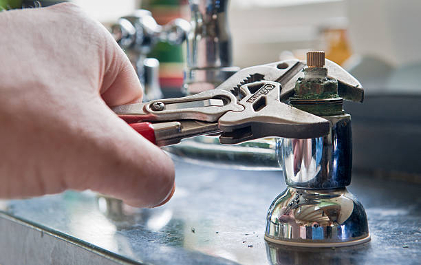 Best Mold removal after water damage  in Pleasant Hills, PA